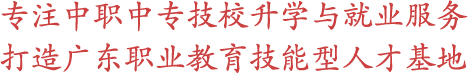 专注中职|中专|技校升学服务打造职业教育技能形人才基地