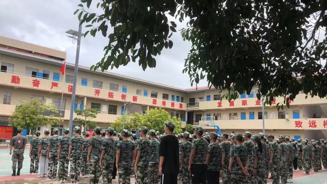 实训实习