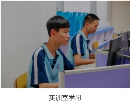 实训实习