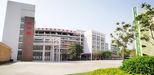 实训实习