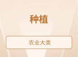 种植
