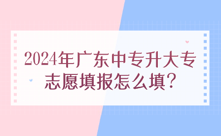 2024年广东中专升大专志愿填报怎么填?