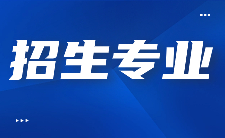 2024年广东松田职业学院3+证书招生专业