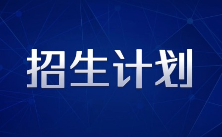 2024年广东3+证书专科招生计划