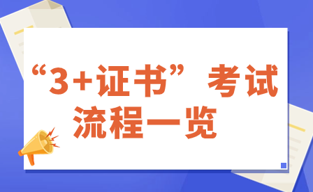 “3+证书”考试流程一览