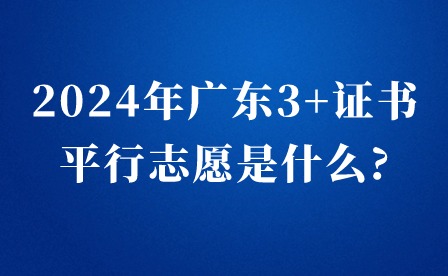 2024年广东3+证书平行志愿是什么?