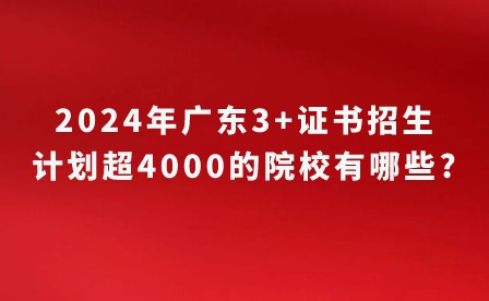 2024年广东3+证书招生计划超4000的院校有哪些?