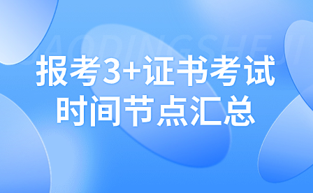 报考3+证书考试时间节点汇总