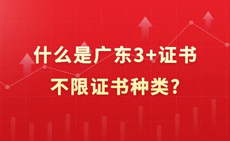 什么是广东3+证书不限证书种类?