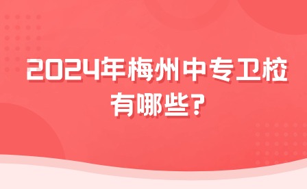 2024年梅州中专卫校有哪些?