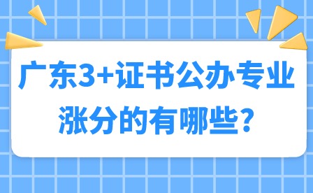 2024年广东3+证书公办专业涨分的有哪些?