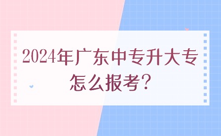 2024年广东中专升大专怎么报考?