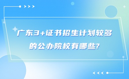 2024年广东3+证书招生计划较多的公办院校有哪些?