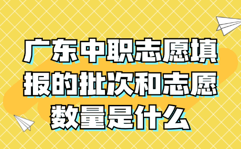 广东中职志愿填报的批次和志愿数量是什么