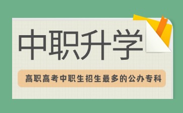 广东中职生参加3+证书招生最多的公办专科院校