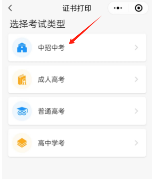 选择类型