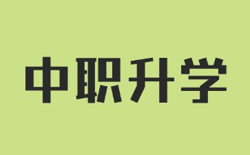 2025年广东中职生升学最多人选择的途径