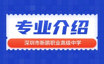 深圳市新鹏职业高级中学专业介绍