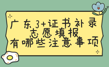 广东3+证书补录志愿填报有哪些注意事项