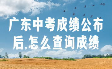 广东中考成绩公布后,怎么查询成绩