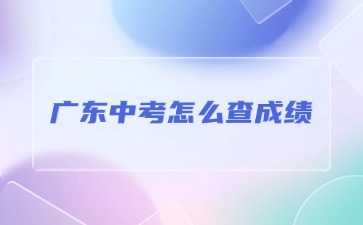 广东中考怎么查成绩