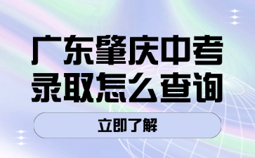 广东肇庆中考录取怎么查询