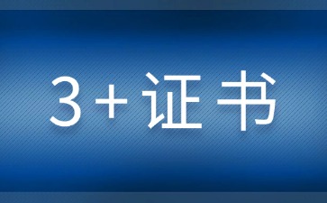 2026年广东3+证书成绩2月3日公布