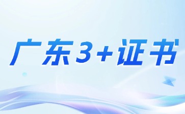 广东3+证书考试是什么？
