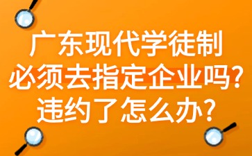 广东现代学徒制必须去指定企业吗？违约了怎么办？